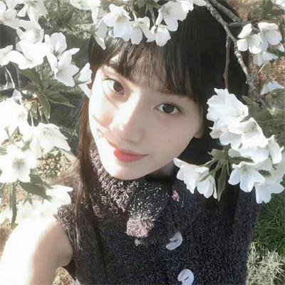 分贝 在线观看
